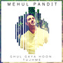 Ghul Gaya Hoon Tujhme - Single