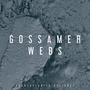 Gossamer Webs (feat. Deer Park Ranger & rhubiqs)