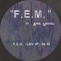 F.E.M. (feat. Annie Maxwell)