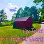 Hay Fever for Tryhard Hearts (Explicit)