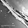 Prospection