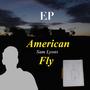 American Fly