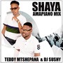 Shaya (Amapiano Mix)