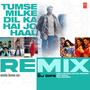 Tumse Milke Dil Ka Hai Jo Haal Remix