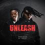 Unleash (feat. Dj Sheddy)