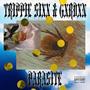 PARASITE (feat. GXRDXN) [Explicit]