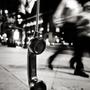 Calling (p.proudzy) [Explicit]