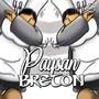 Paysan Breton (Slowed)