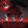 2PLAYA (Explicit)
