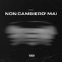NON CAMBIERO' MAI (Explicit)