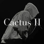 Cactus 2