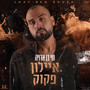 איילון פקוק