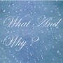 What and Why (Explicit)