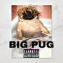 Big Pug (Explicit)