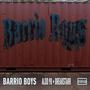 Barrio Boys (Explicit)