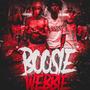 Boosie webbie (feat. 220lilbirdie) [Explicit]