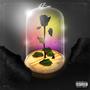 SI SE DA” (feat. BrvndonBeats)