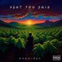 WHAT YOU SAID (Explicit)