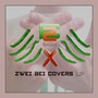 Zwei bei Covers LP