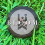 BLOOM (Explicit)