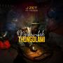 Ngihawukele Thongolami (feat. Feedo)