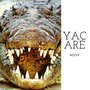 Yacaré