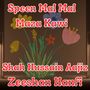 Speen Mal Mal Maza Kawi