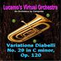 Variations Diabelli No. 29 in C Minor, Op. 120