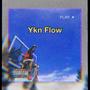 YKN FLOW (Explicit)