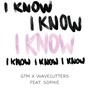 I Know (feat. Sophie)