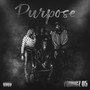 Purpose (Explicit)