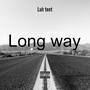 Long Way