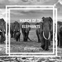 March Of The Elephants