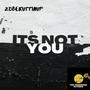 Its Not You (Explicit)