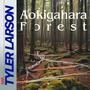 Aokigahara Forest