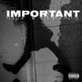 Important (Explicit)