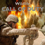 Call of Duty