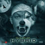 Hybrid (Explicit)