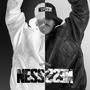 NESSNESS (Explicit)