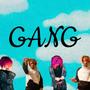 GANG (feat. killzerimar) [Explicit]