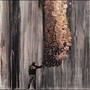 Osten (Explicit)