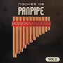 Noches de Panpipe Vol. 2