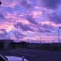 Purple Sky's