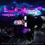 Between Shadowns And Illusion