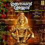 Gurunadhan Ayyan Malikappuram Version - Single