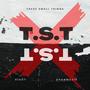 T.S.T (feat. Shan Muzik & Shan Muzik) [Explicit]