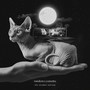 The Randøm Remixes