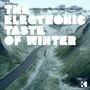 The Electronic Taste of Winter