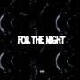 FOR THE NIGHT (Explicit)