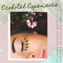 Ecohotel Experience - Relaxing Natural Music for Spas, Hotels, Wellness